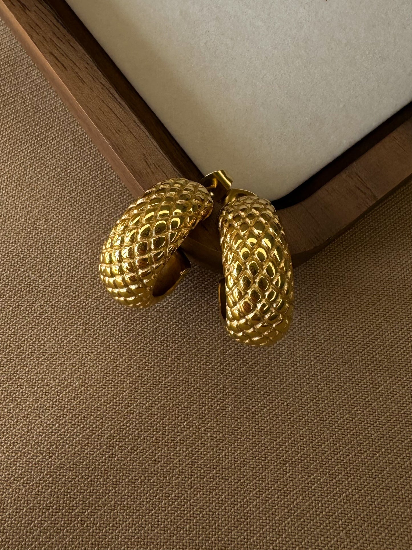 Snake Skin Hoop Earrings